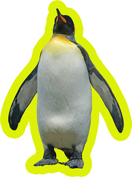 ぺんぎん